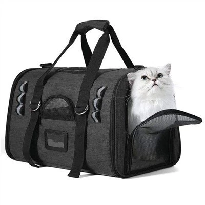 Tote Anjing